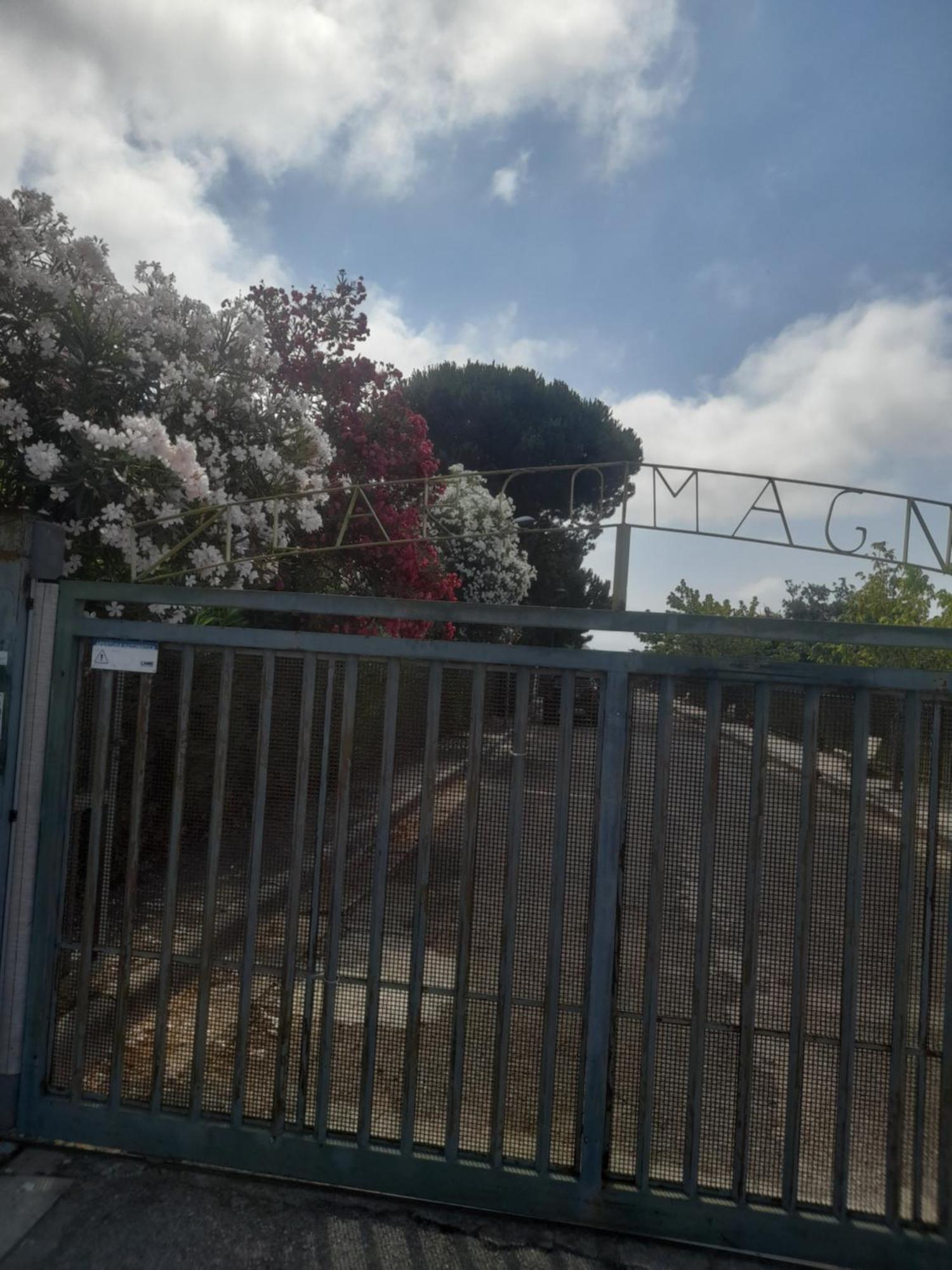 Casa Ettore San Nicola Arcella Eksteriør bilde